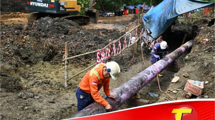 Pulih Bersama, Bangkit Lebih Kuat: PT Vale dan Masyarakat Towuti Menapaki Jalan Pemulihan Berkelanjutan