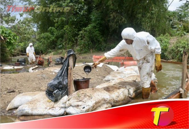 
					Progres Pemulihan PT Vale di Towuti: Dari Respon Darurat Menuju Solusi Terstruktur