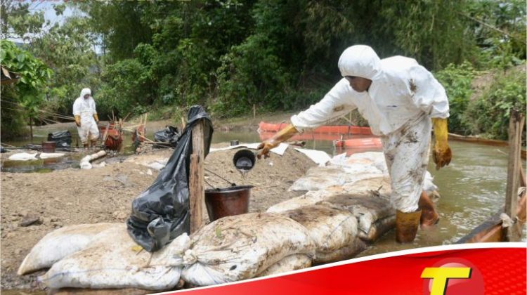 Progres Pemulihan PT Vale di Towuti: Dari Respon Darurat Menuju Solusi Terstruktur