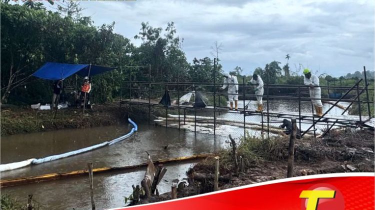 Towuti Bergerak Bersama: PT Vale dan Warga Perkuat Pemulihan dengan Data Ilmiah dan Gotong Royong
