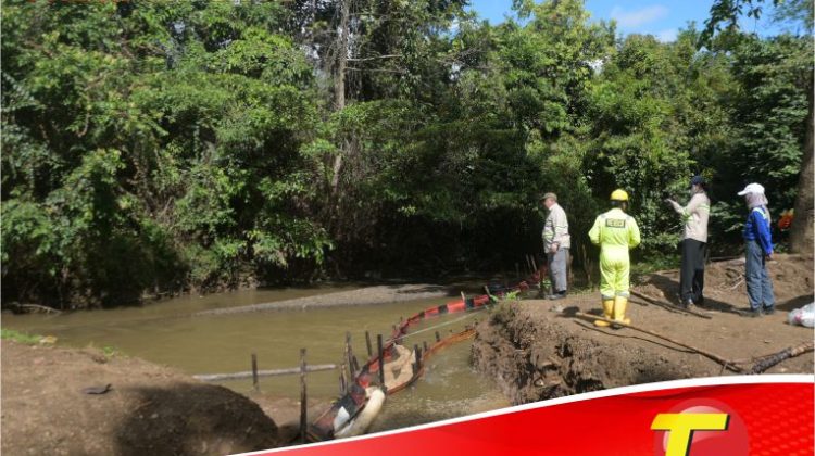 Hasil Uji Air Towuti Diumumkan, PT Vale Hormati Transparansi dan Tegaskan Komitmen Pemulihan Berkelanjutan