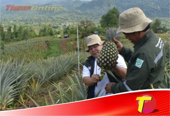 
					Mengenal Agrowisata Ponda’ta di Wasuponda, Hasil Binaan PT. Vale Indonesia