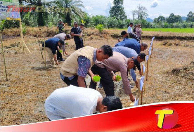 
					Dukung Swasembada Pangan, Polres Lutim Kembali Tanam Jagung