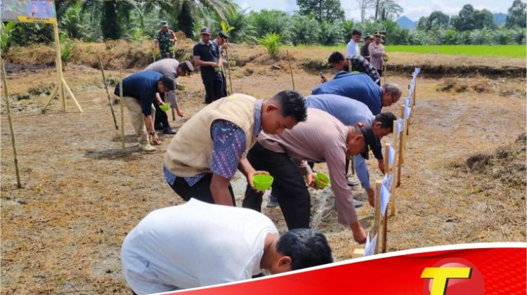Dukung Swasembada Pangan, Polres Lutim Kembali Tanam Jagung