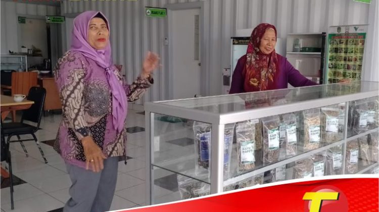 Terapi Herbal Hipho, Dari Berbagai Obat Herbal Hingga Pijat Tradisional