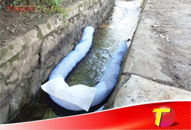 
					Wujud Nyata Pemulihan di Towuti, PT Vale Tuntaskan Enam Titik Penanganan Tumpahan Pipa Minyak