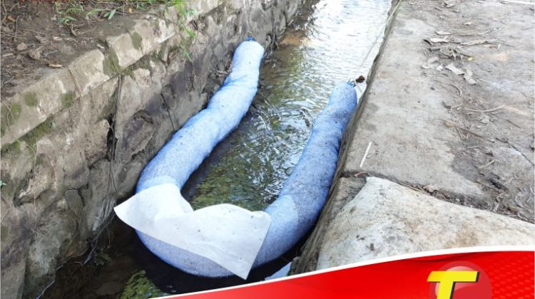 Wujud Nyata Pemulihan di Towuti, PT Vale Tuntaskan Enam Titik Penanganan Tumpahan Pipa Minyak