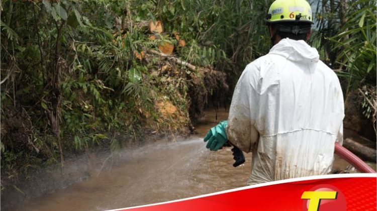 Komitmen untuk Lingkungan dan Masyarakat Towuti, PT Vale Tegaskan Kualitas Air Aman dan Pemulihan Berjalan Terukur