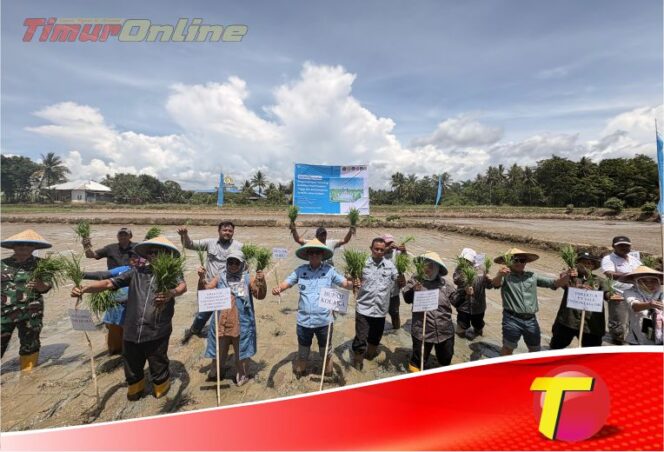 
					Dari Lahan Kolaka untuk Ketahanan Pangan Indonesia: PT Vale Kolaborasi Padi Berkelanjutan untuk Hadirkan Transformasi Pertanian Berbasis Inovasi