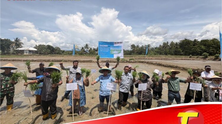 Dari Lahan Kolaka untuk Ketahanan Pangan Indonesia: PT Vale Kolaborasi Padi Berkelanjutan untuk Hadirkan Transformasi Pertanian Berbasis Inovasi