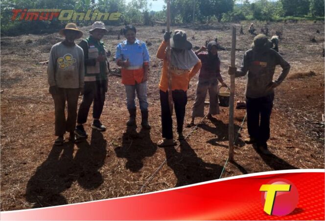 
					Penanaman Perdana Jagung Program Pangan Berkelanjutan PT CLM di Malili Resmi Dimulai