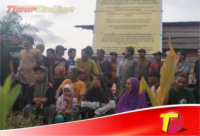 
					Penggusuran Pemkab Lutim Tak Membuahkan Hasil, Petani Laoli Tetap Bertahan