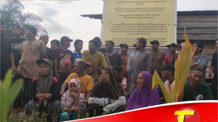 Penggusuran Pemkab Lutim Tak Membuahkan Hasil, Petani Laoli Tetap Bertahan