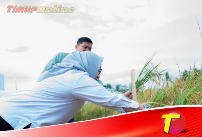 
					Dukung Asta Cita Presiden dan SDGs Ketahanan Pangan, PT Vale Panen Bersama Demplot Padi Berkelanjutan di Kolaka