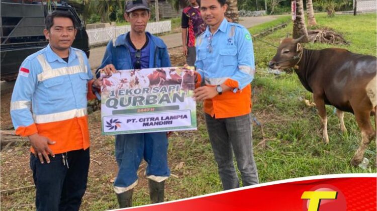Idul Adha 2026, PT. CLM Serahkan 7 Ekor Sapi di Wilayah Pemberdayaan