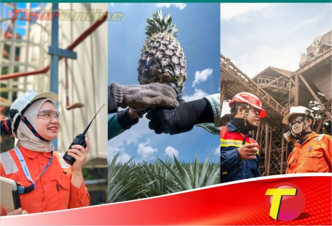 
					HUT23 Tahun Luwu Timur: Harmoni Pertumbuhan, Industri, dan Keberlanjutan dari Timur Indonesia