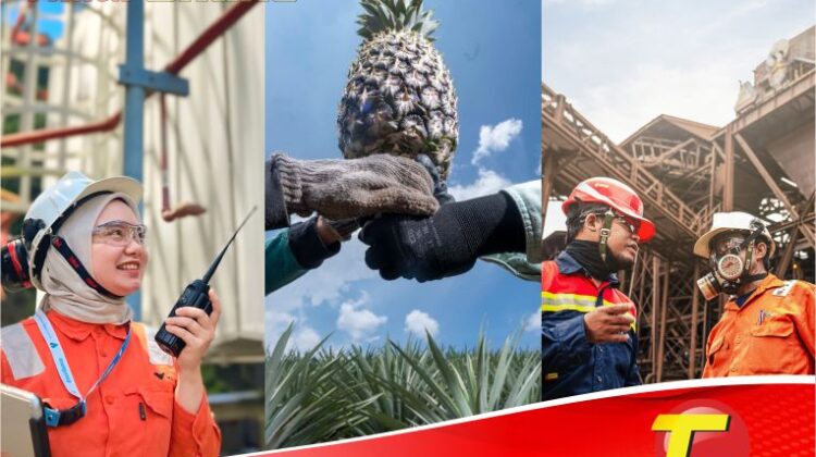 HUT23 Tahun Luwu Timur: Harmoni Pertumbuhan, Industri, dan Keberlanjutan dari Timur Indonesia