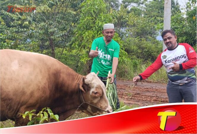 
					Berbagi Keberkahan Idul Adha, PT Vale Donasi Hewan Kurban ke Wilayah Pemberdayaan