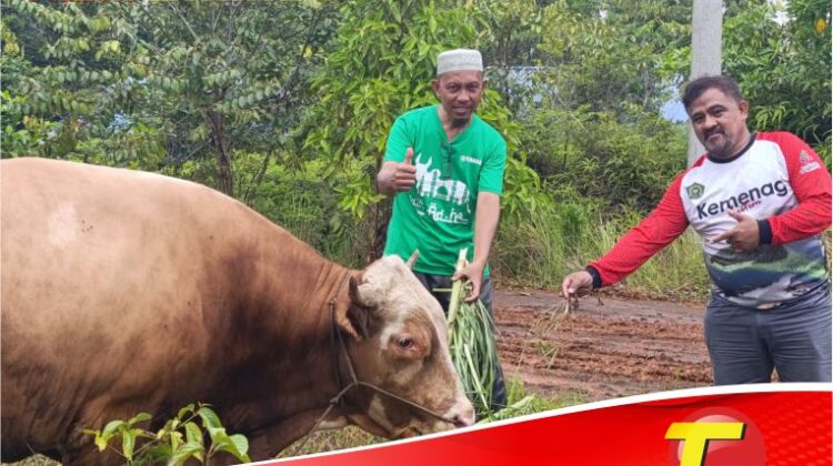 Berbagi Keberkahan Idul Adha, PT Vale Donasi Hewan Kurban ke Wilayah Pemberdayaan