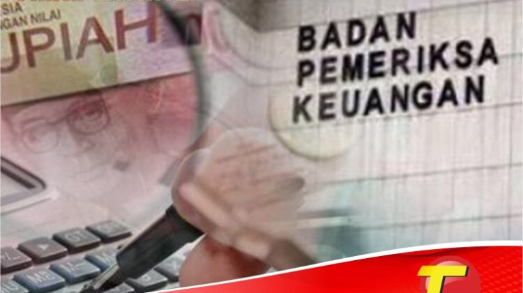 Ini Daftar Temuan BPK RI Sulsel di Kabupaten Luwu Timur