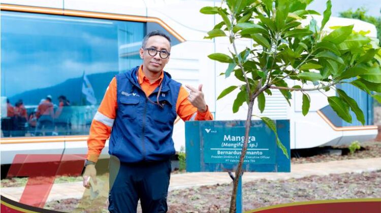 Bertumbuh dengan Tanggung Jawab, PT Vale Perkuat Hilirisasi dan Keberlanjutan di Morowali